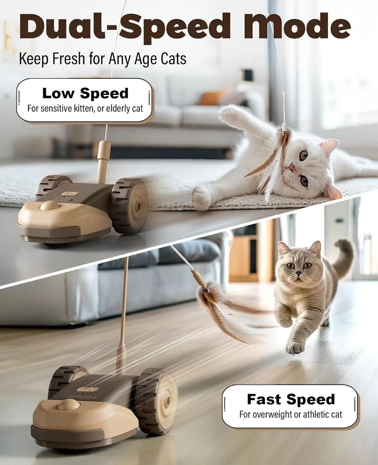 3-in-1 Mouse Car Interactive Cat Toy - HolyPetz™