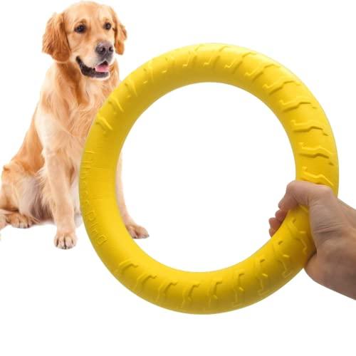 Dog Indestructible Chew Toy Disc For Aggressive Chewers - HolyPetz™