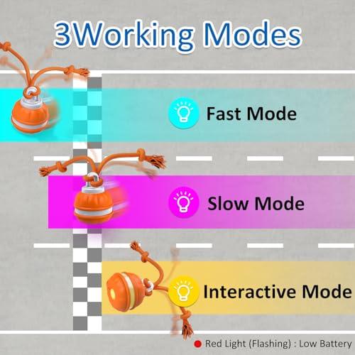 Dog Motion Activated Automatic Ball Toy - HolyPetz™