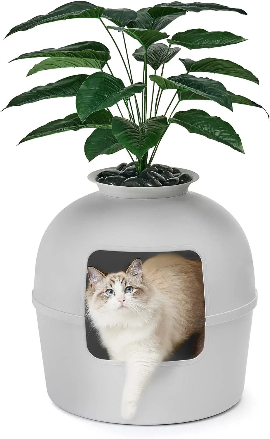 Cat Secret Plant Litter Box With Odor Control - HolyPetz™