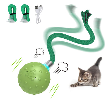 Cat Motion Activated Ball Toy