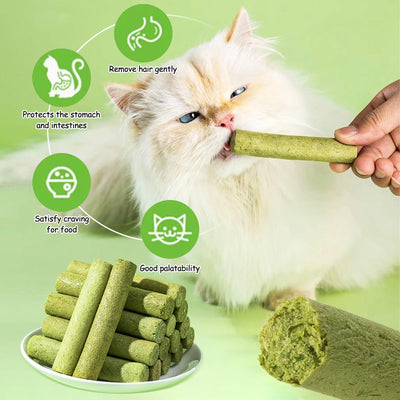 Cat Natural Dried Dental Grass Stick Treats