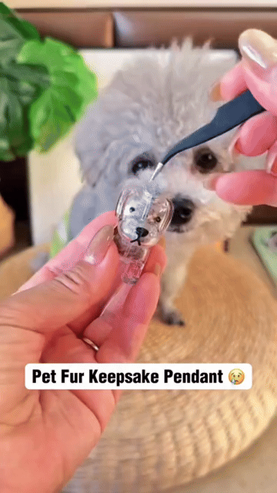 Dog Fur Collector Keepsake Keychain