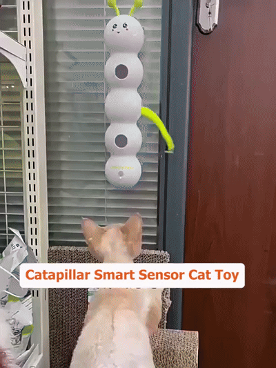 Cat Caterpillar Smart Teaser Toy