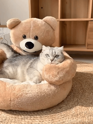 Pet Bear Shaped Plush Comfy Bed