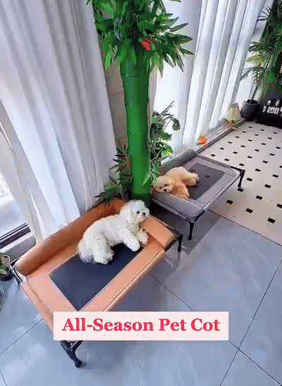 Dog Elevated Cooling Bed Breathable