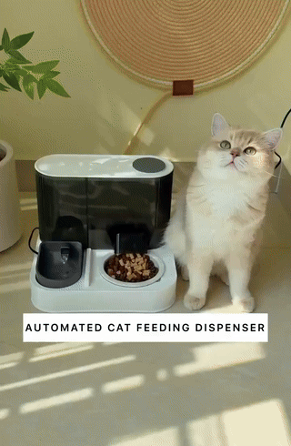 2 N 1 Automatic Feeder & Water Dispenser Set