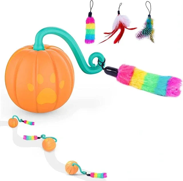 Cat 5 in 1 Automatic Smart LED Moving Ball - HolyPetz™