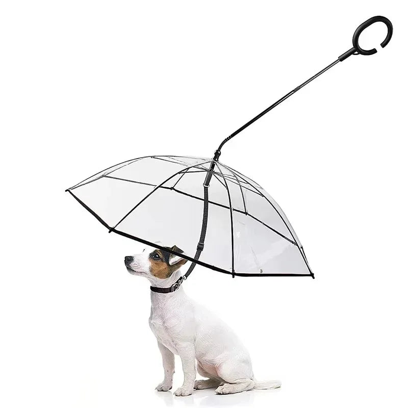 Dog Transparent Folding Adjustable Umbrella - HolyPetz™
