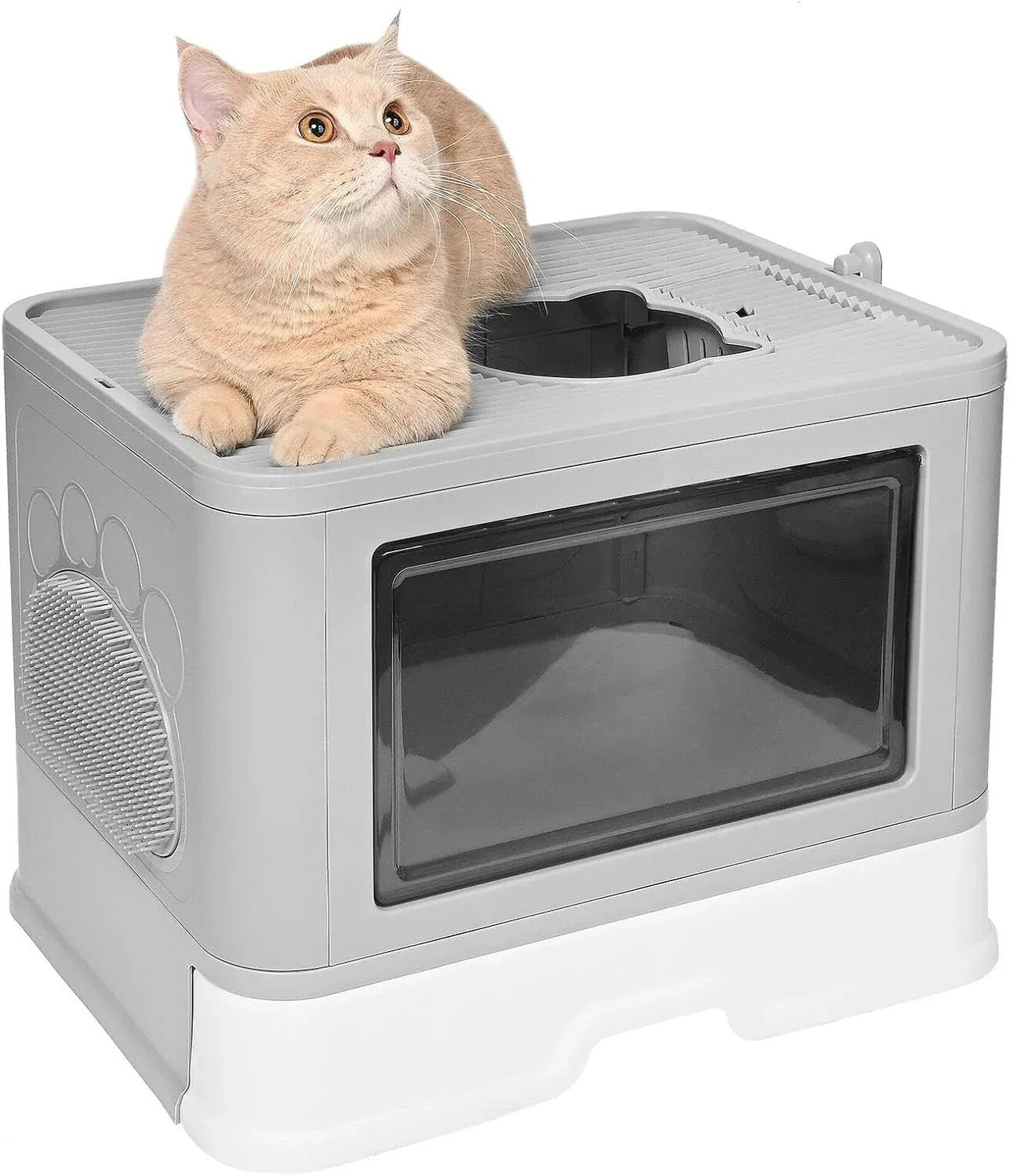 Cat Enclosed Large Litter Box - HolyPetz™