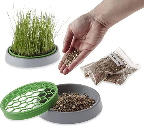 Double Catnip Seeds Kit Germinating Pot 4 sachets of Seeds & Substrate - HolyPetz™