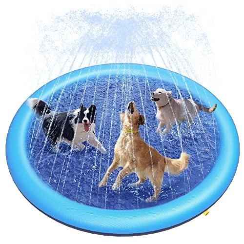 Dog Water Sprinkler Splash Pool - HolyPetz™