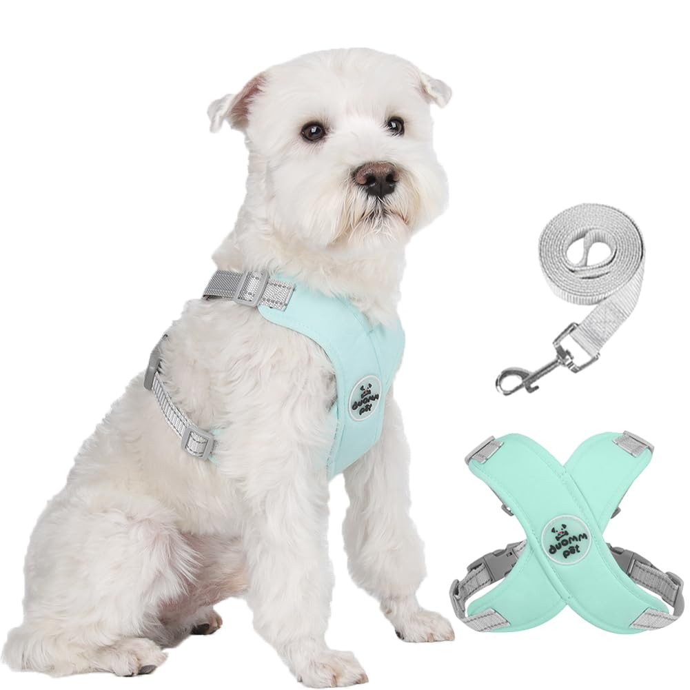 Dog No Pull X Frame Harness & Leash Set