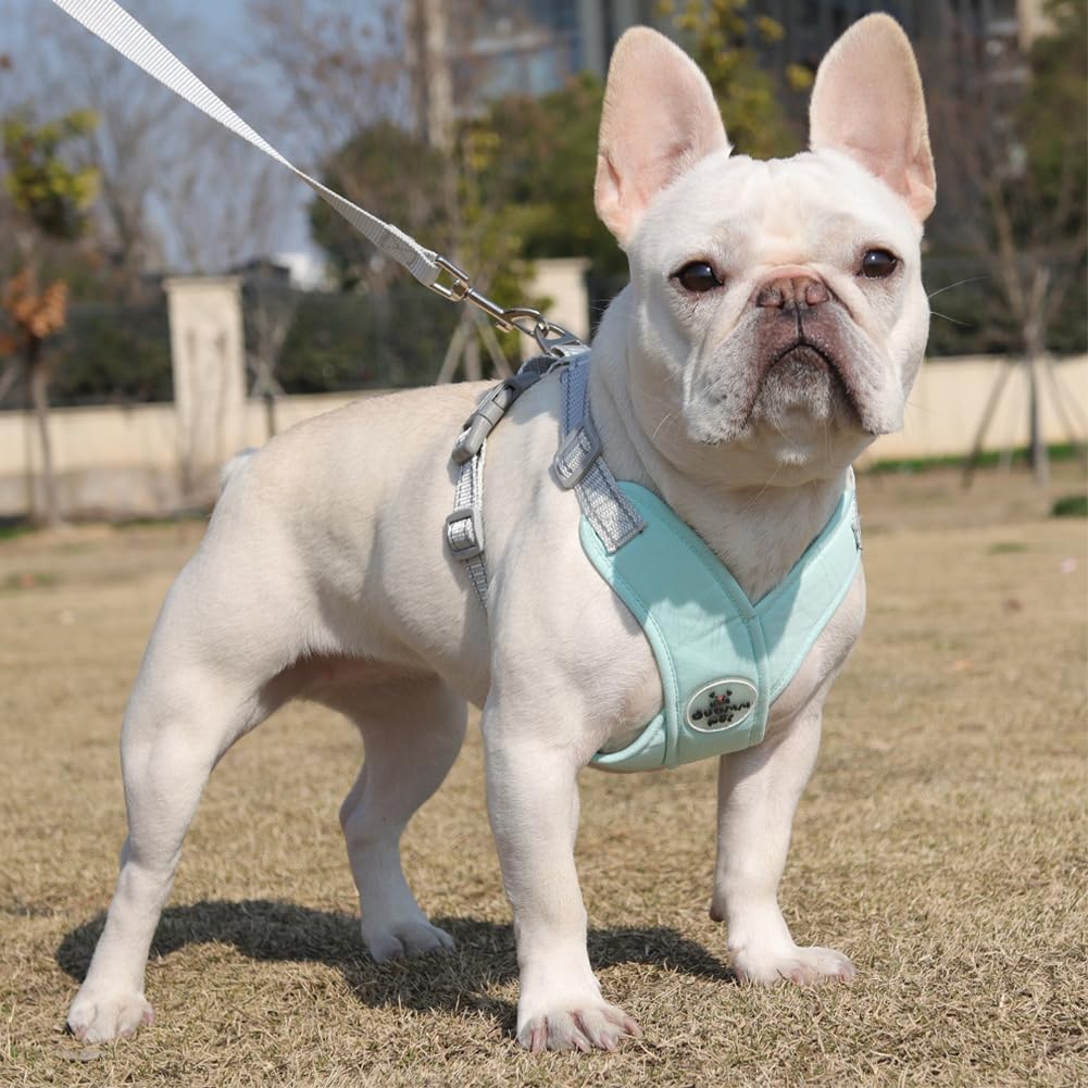 Dog No Pull X Frame Harness & Leash Set