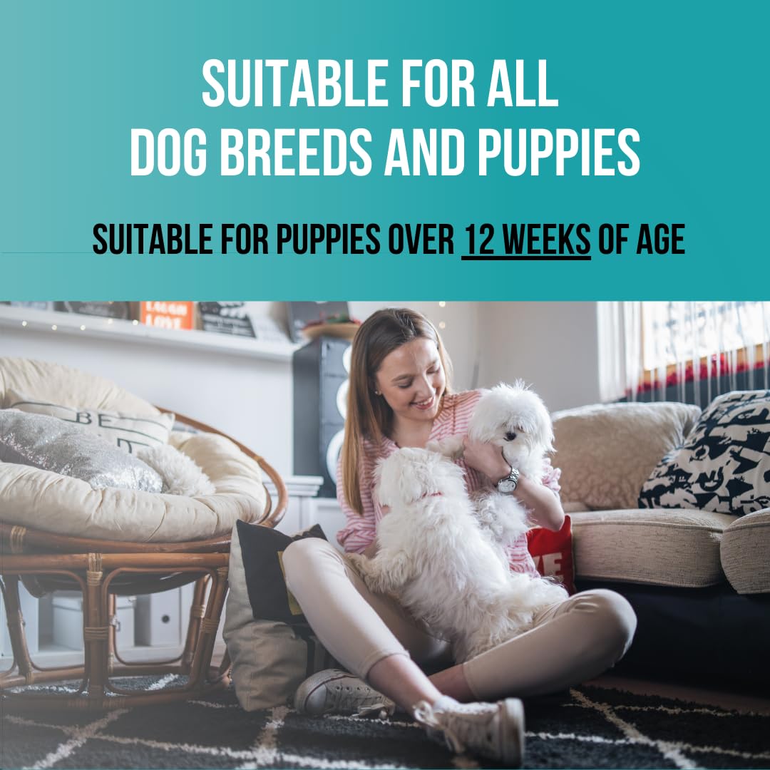 Pet Tearless Shampoo