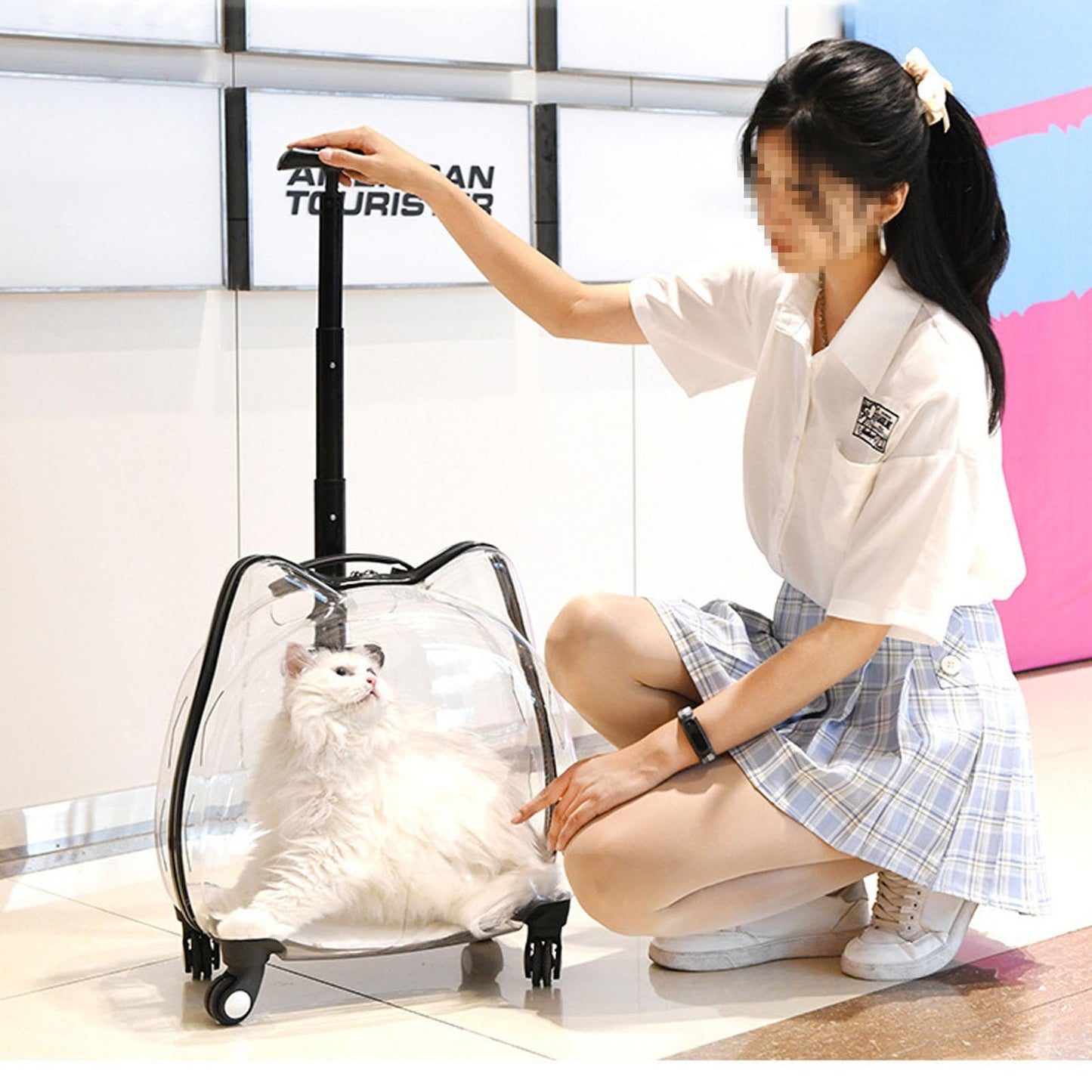 Pet Transparent Rolling Backpack Carrier