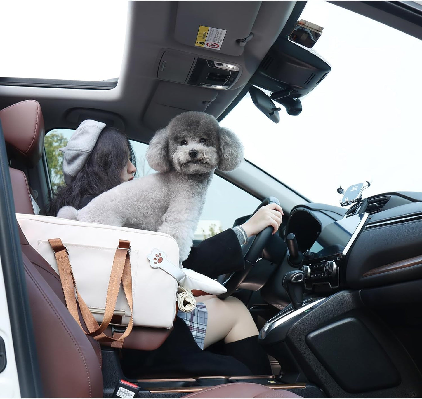 Cat & Dog Booster Car Seat Console