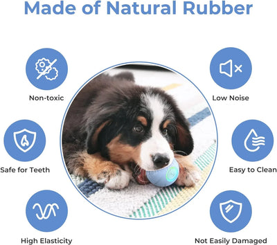 Smart Interactive Pet Ball With LED Lights - HolyPetz™