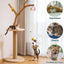 Cat Hanging Retractable Interactive Toy