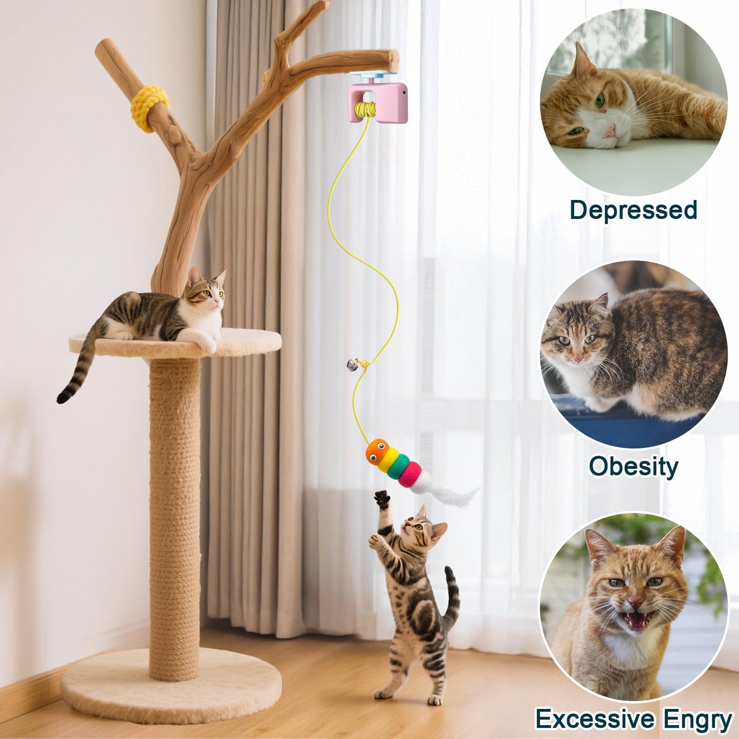 Cat Hanging Retractable Interactive Toy