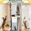 Cat Hanging Retractable Interactive Toy