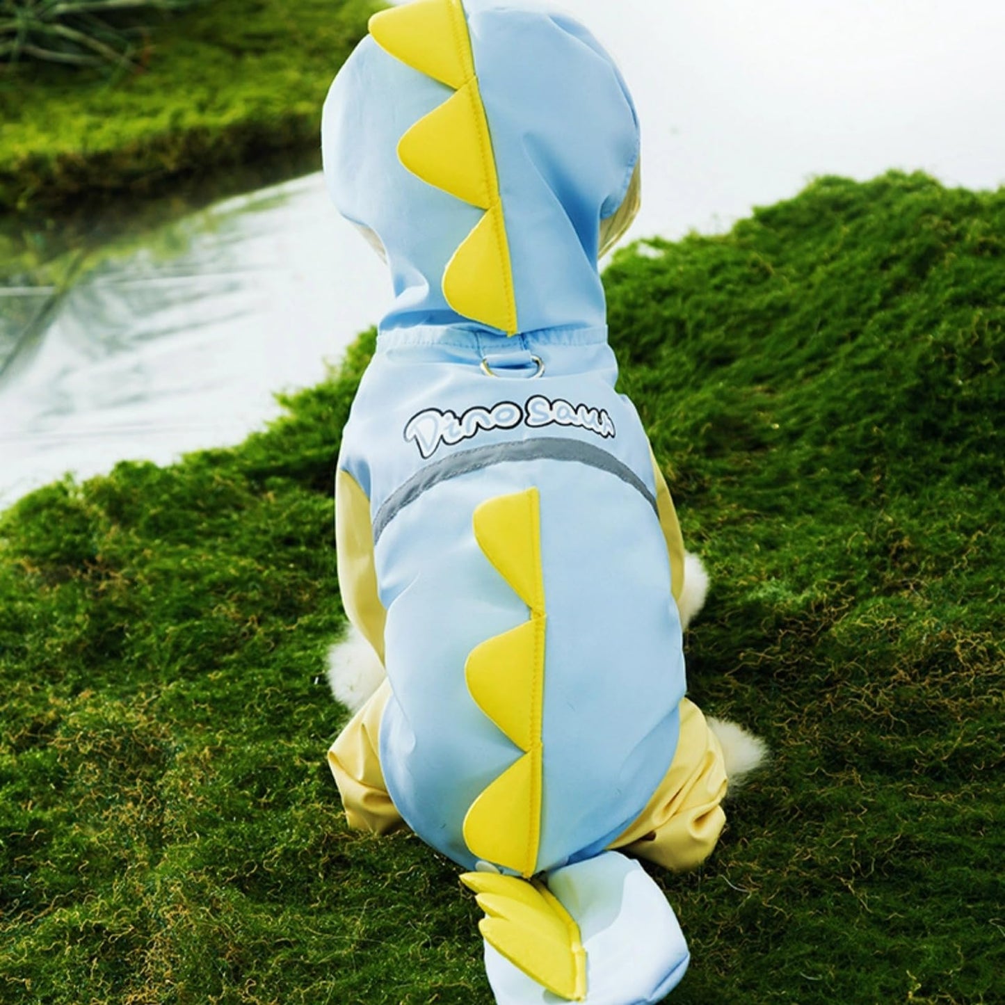 Dog Reflective Dinosaur Hoodie Raincoat & Leash