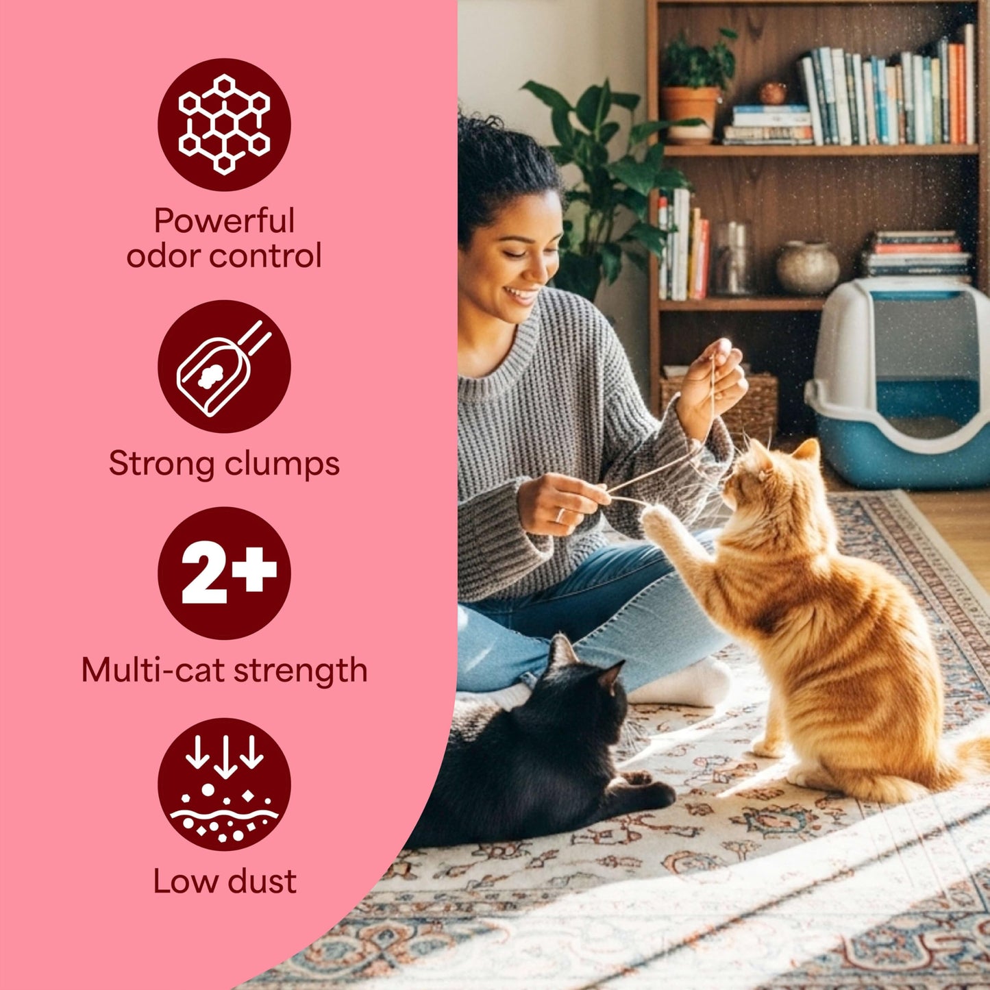 Fresh Step Clumping Cat Litter with Odor Control 14lbs