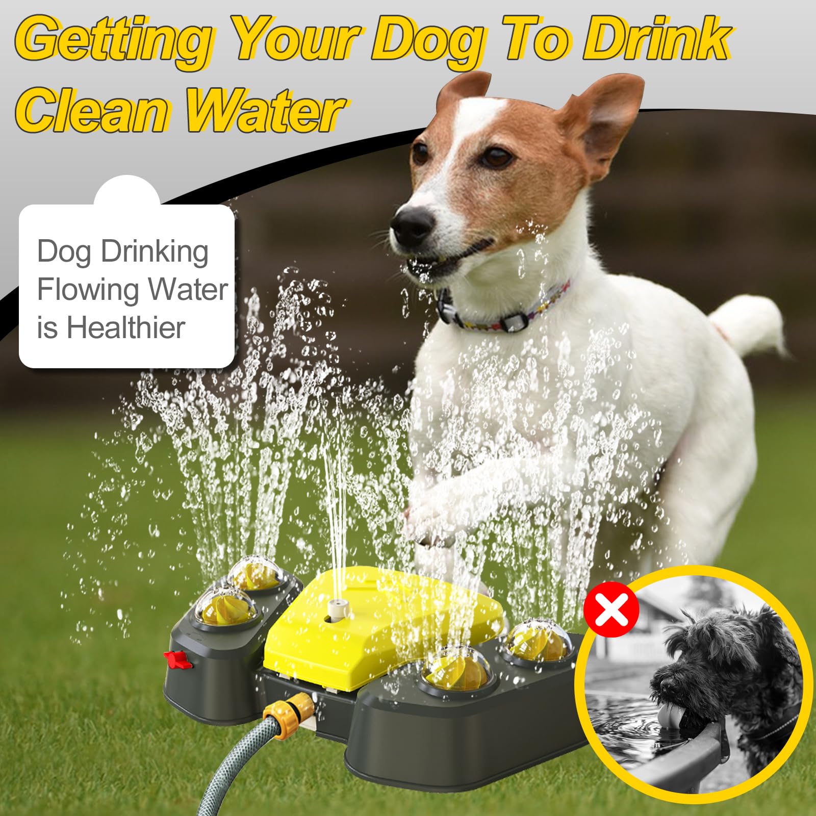 How To Get Your Dog To Drink Water Dog Paw Activated Water