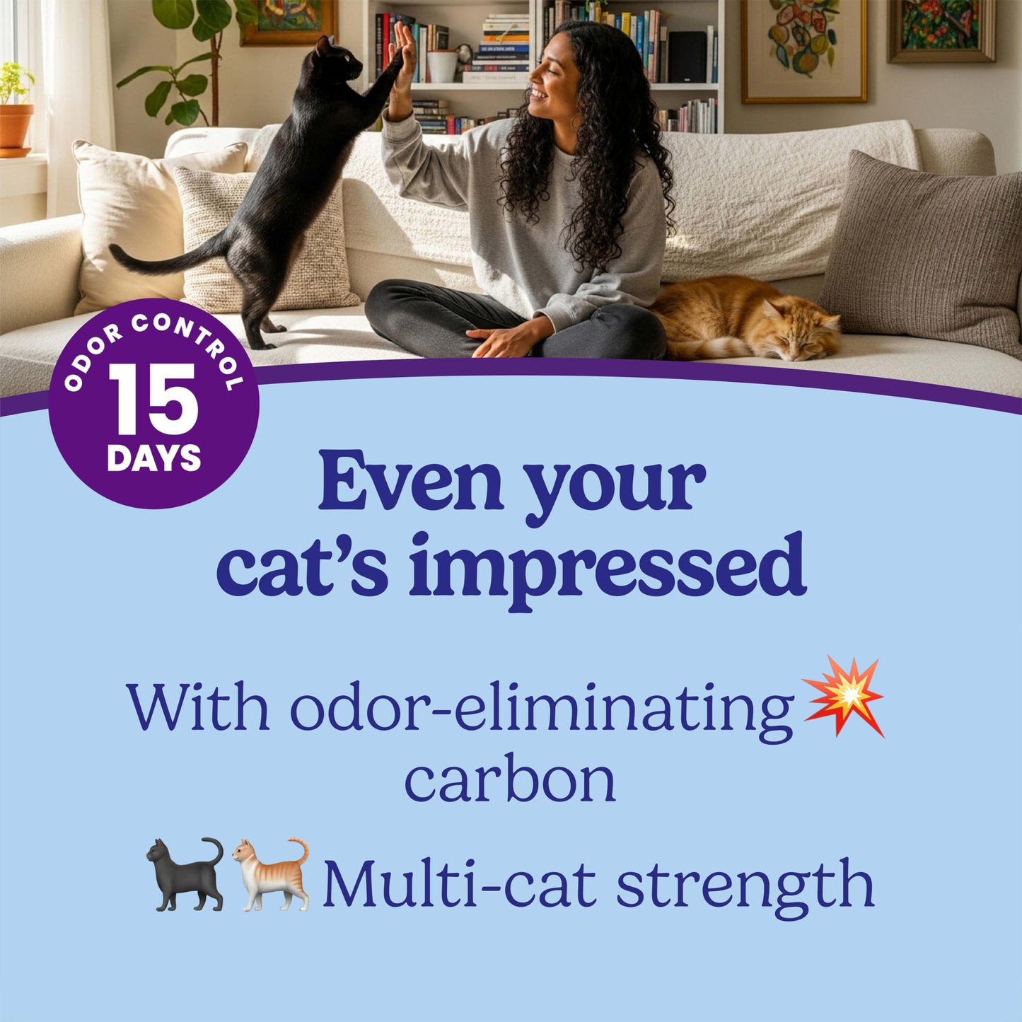 Fresh Step Clumping Cat Litter with Odor Control 14lbs