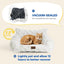 Pet Plush Couch Sofa Bed