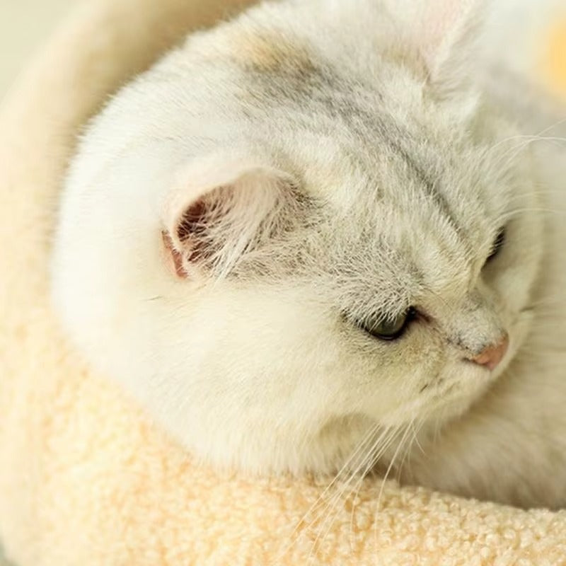 Cat Sisal Scratcher Couch Bed