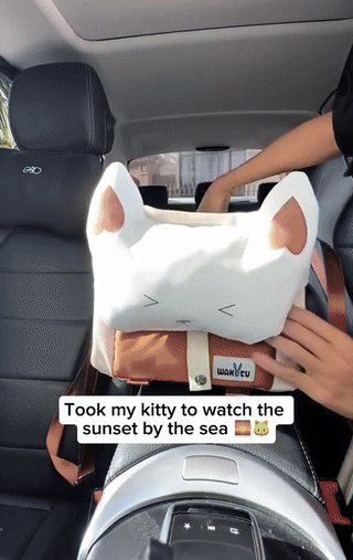 Cat & Dog Booster Car Seat Console
