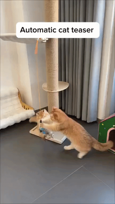 Cat Automatic Hanging Feather Teaser Toy