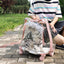 Pet Transparent Rolling Backpack Carrier