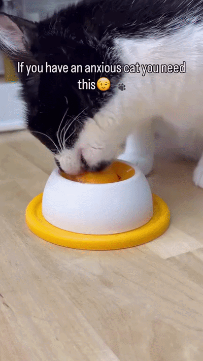 Dog & Cat Slow Feeder Rolling Lick Bowl