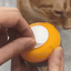 Cat Feather Teaser Interactive Toy