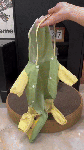 Dog Reflective Dinosaur Hoodie Raincoat & Leash