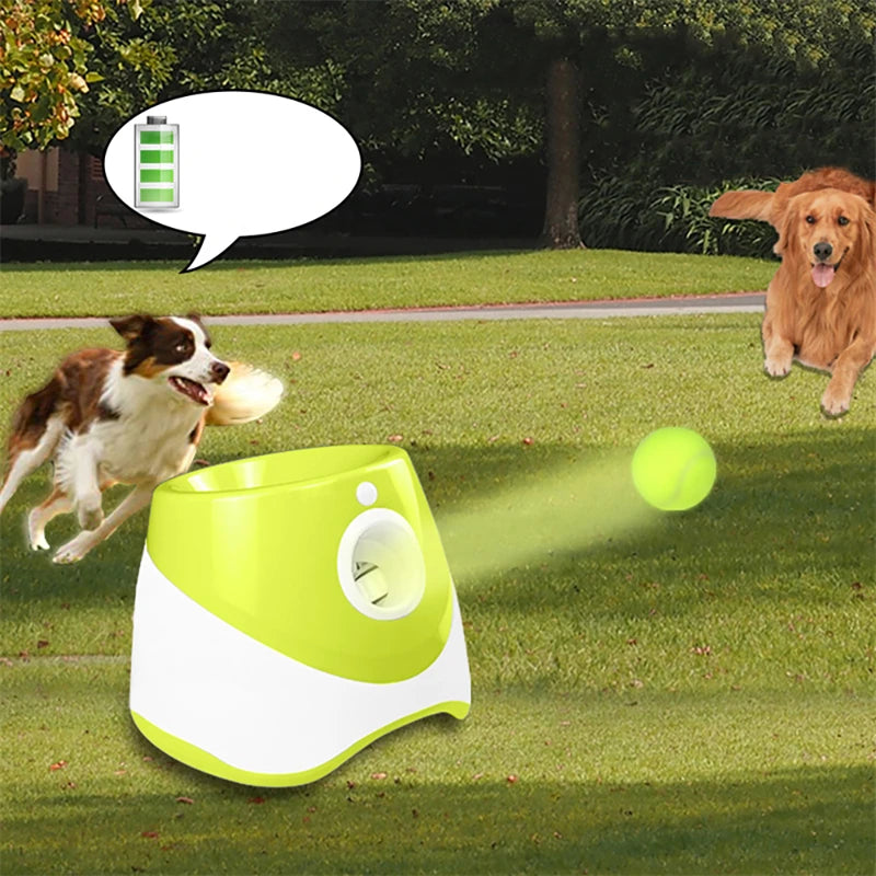 Dog Automatic Ball Launcher Machine – HolyPetz™