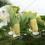 Dog Reflective Dinosaur Hoodie Raincoat & Leash