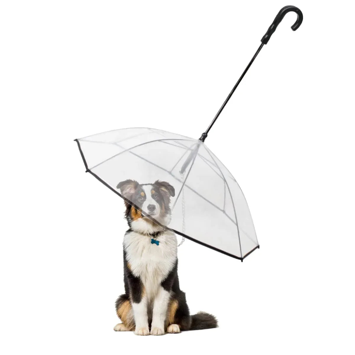 Dog Transparent Folding Adjustable Umbrella - HolyPetz™
