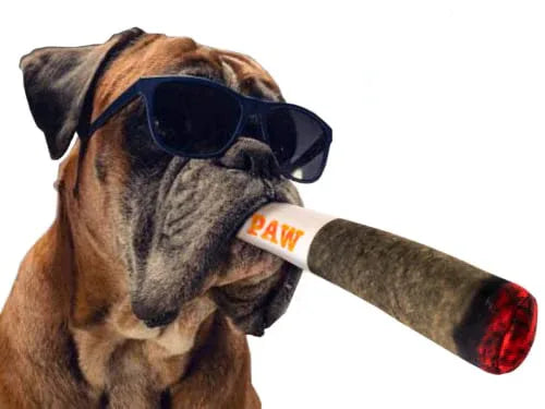 Doggy Doobie Plush Squeaky Dog Toy - HolyPetz™