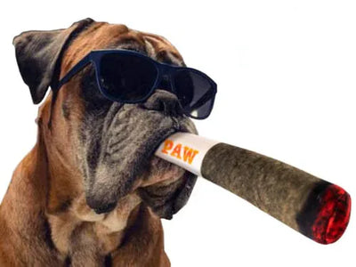 Doggy Doobie Plush Squeaky Dog Toy - HolyPetz™