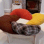 Cat Elevated Wooden Plush Cushion Bed