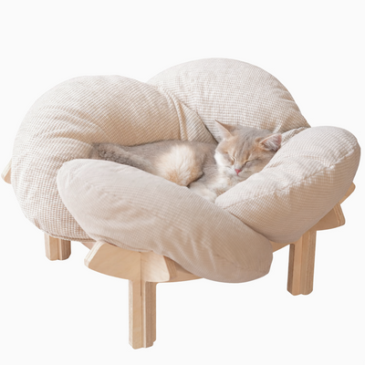 Cat lying on a beige cushioned pet bed with wooden legs on a white background