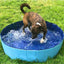 Dog Portable PVC Collapsible Swimming Pool