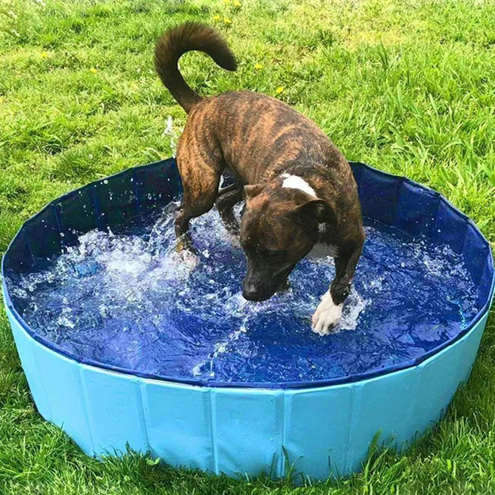 Dog Portable PVC Collapsible Swimming Pool