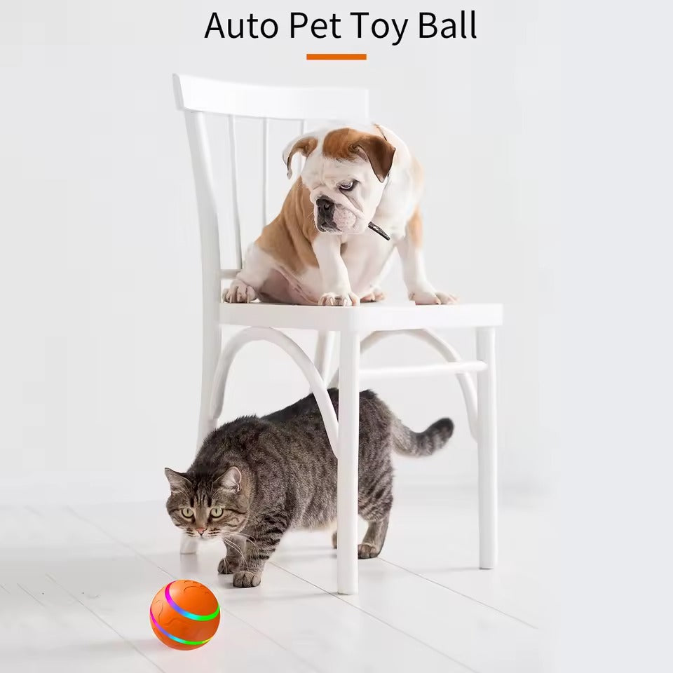 Smart Interactive Pet Ball With LED Lights