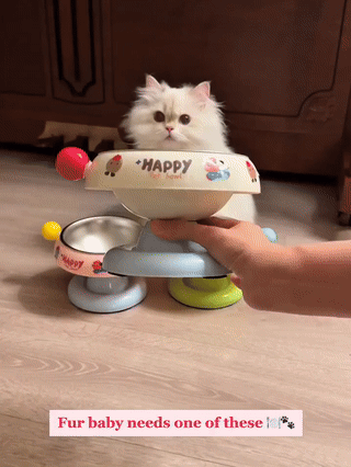 Pet Happy Elevated Stand With Stainless Steel Bowl