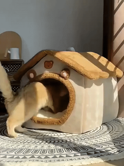 Pet Warm & Cozy Cave Bed House