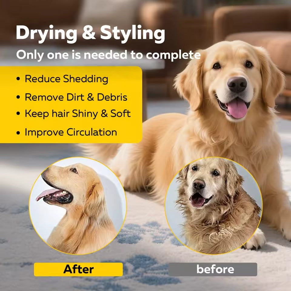 Pet Smart Temperature Control Hair Dryer